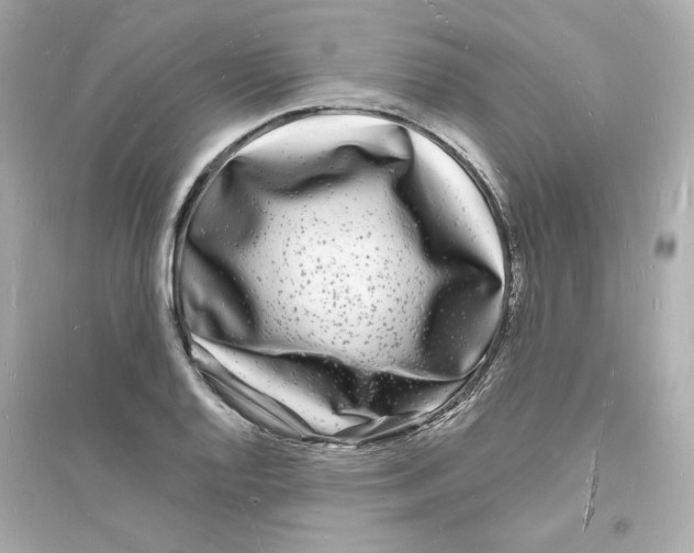 X0000093721128200711131007