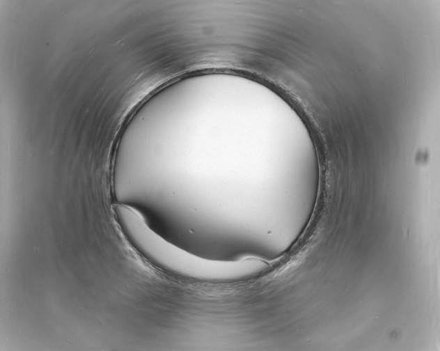 X0000093721129200711131007