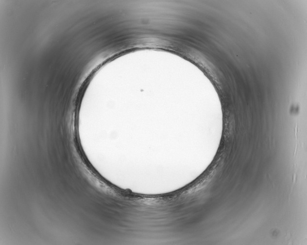 X0000093721130200711131007