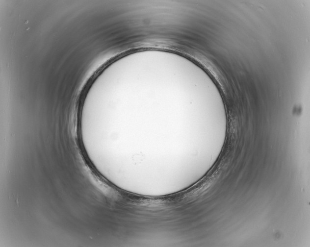 X0000093721131200711131007