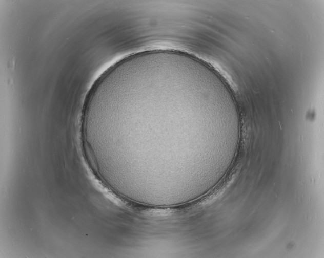 X0000093721134200711131007