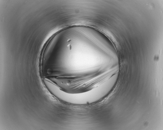 X0000093721138200711131007