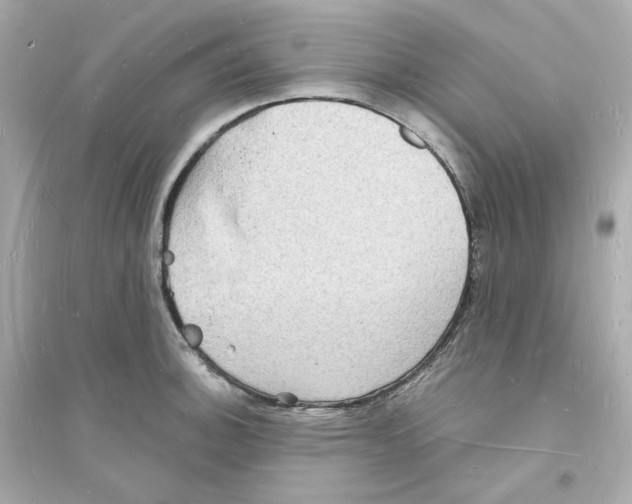 X0000093721140200711131007