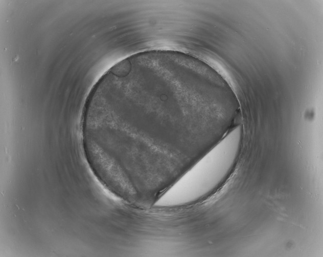 X0000093721141200711131007