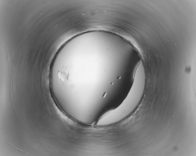 X0000093721143200711131007