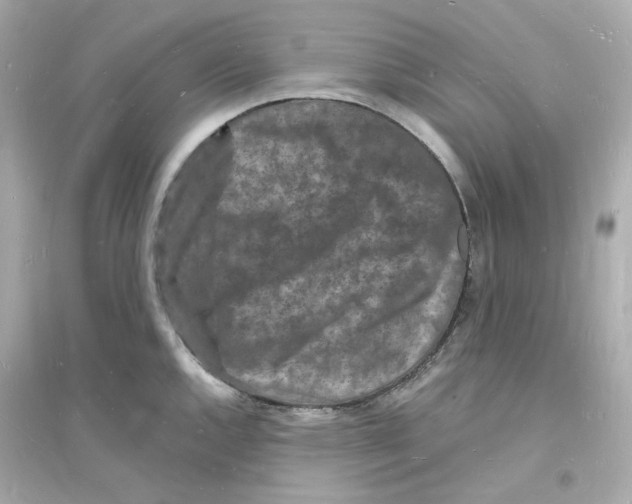 X0000093721144200711131007