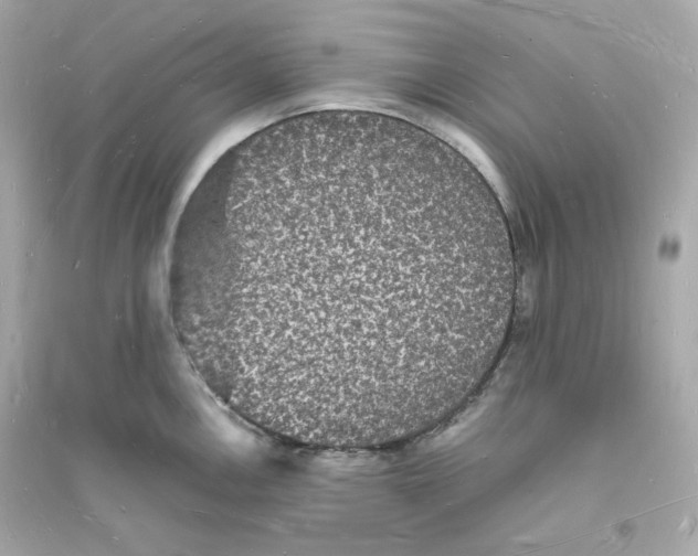 X0000093721146200711131007