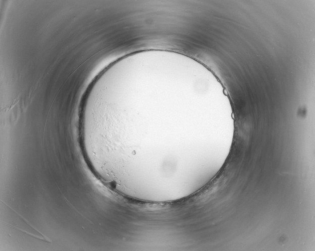 X0000093721147200711131007