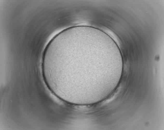 X0000093721149200711131007