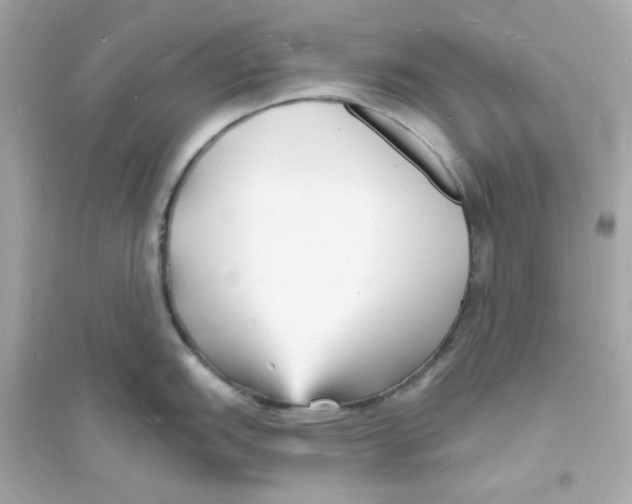 X0000093721151200711131007