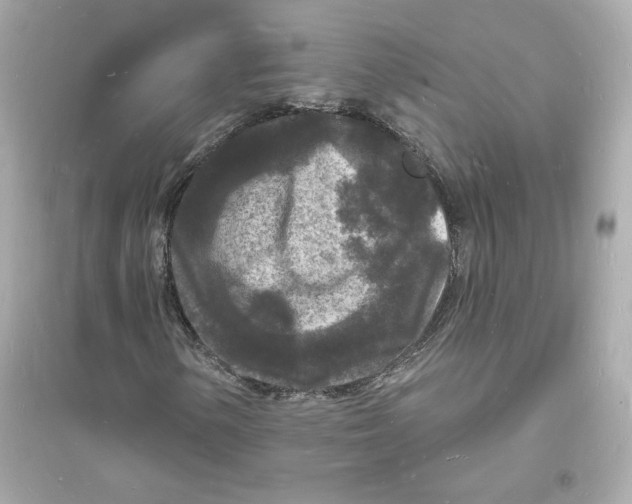 X0000093721154200711131006