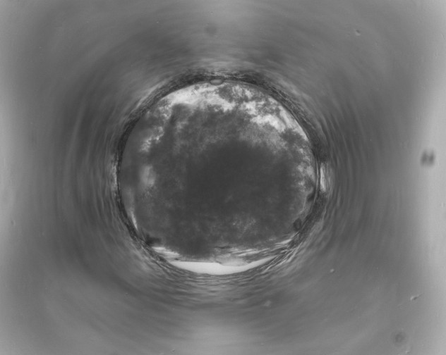 X0000093721155200711131006