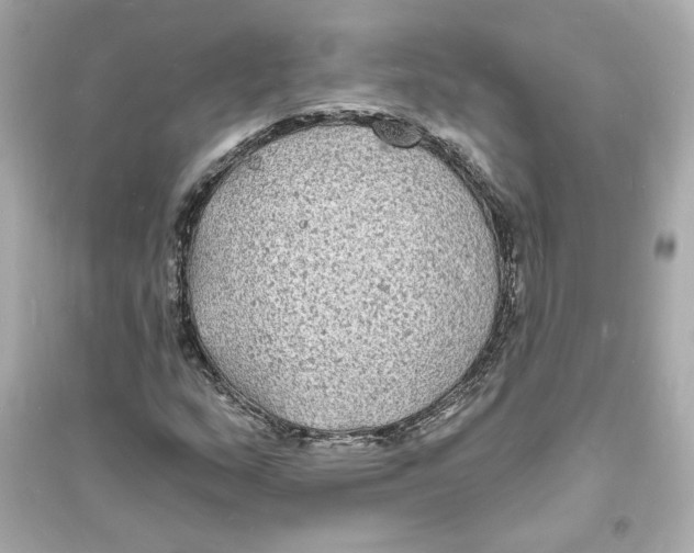 X0000093721159200711131006