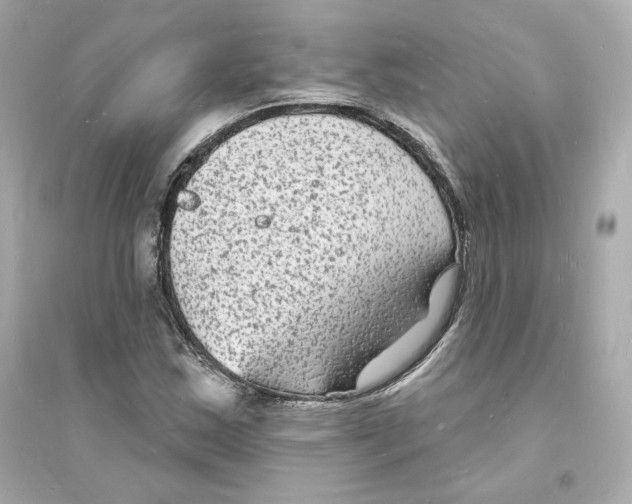 X0000093721163200711131006