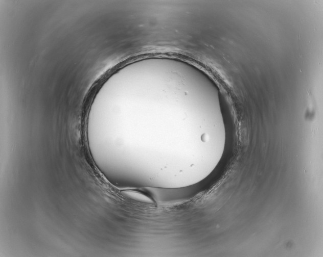 X0000093721165200711131006