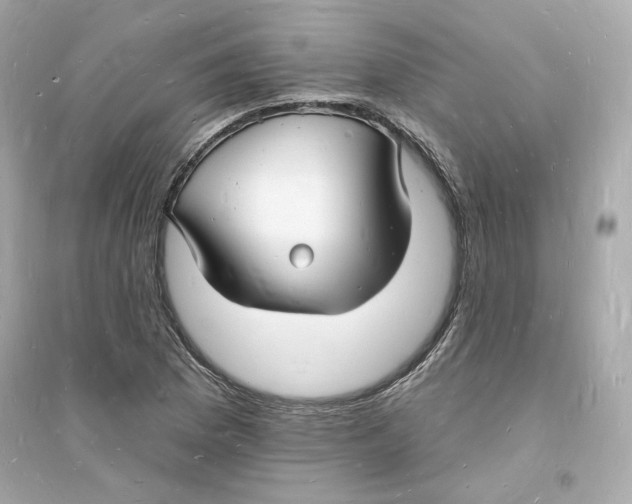 X0000093721169200711131006