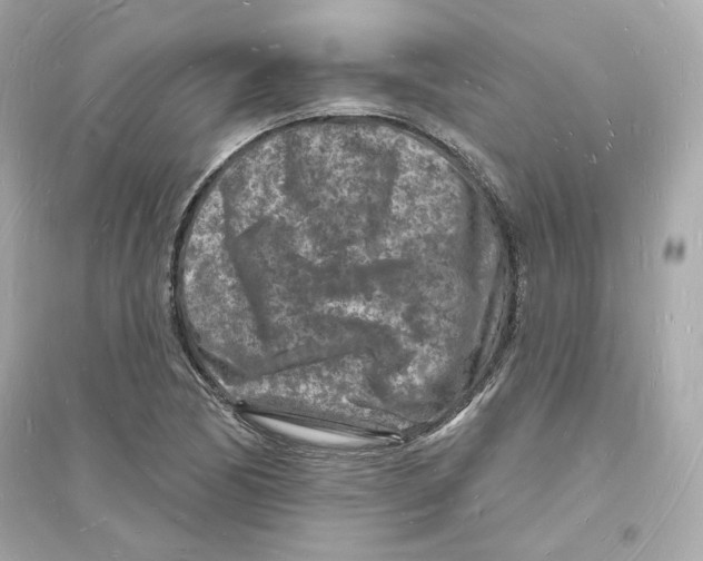 X0000093721170200711131006