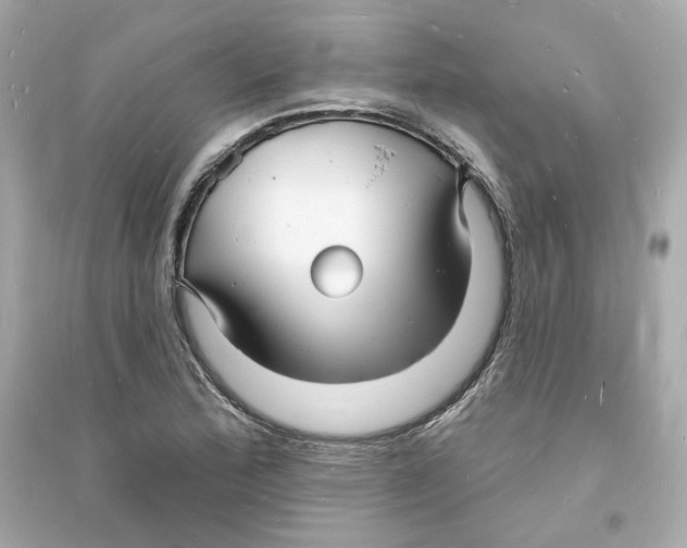 X0000093721172200711131006