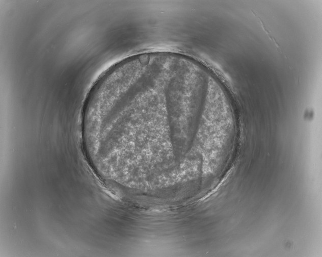 X0000093721174200711131006