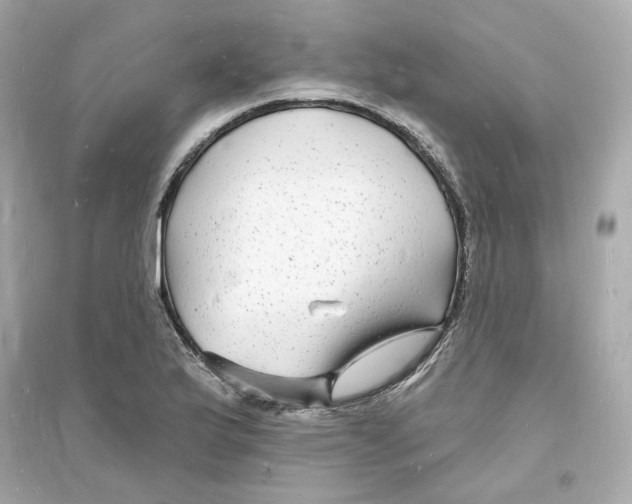 X0000093721175200711131006