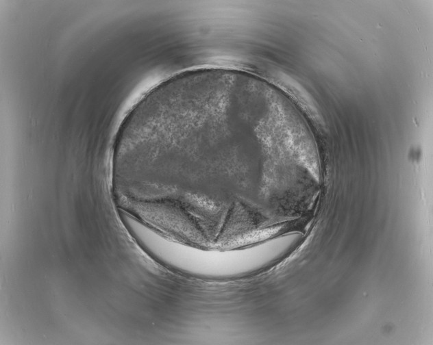 X0000093721180200711131006