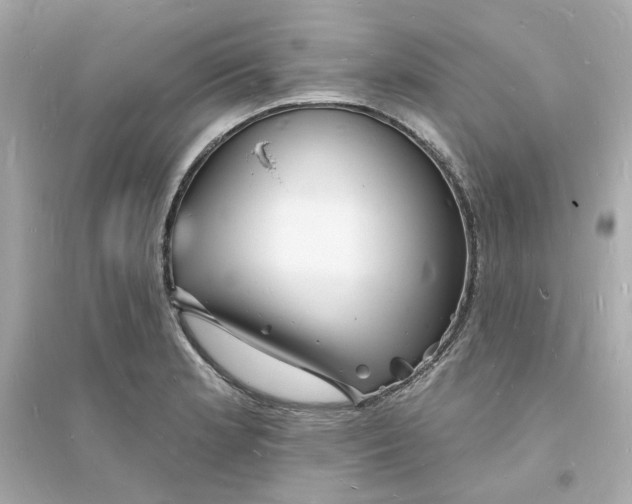 X0000093721181200711131006