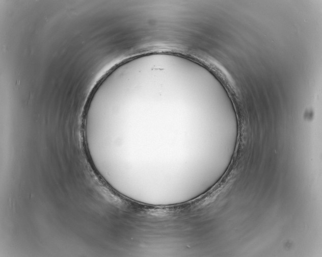 X0000093721182200711131006