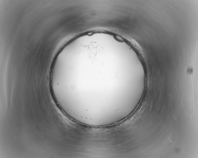 X0000093721183200711131006