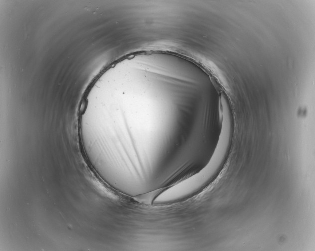 X0000093721184200711131006