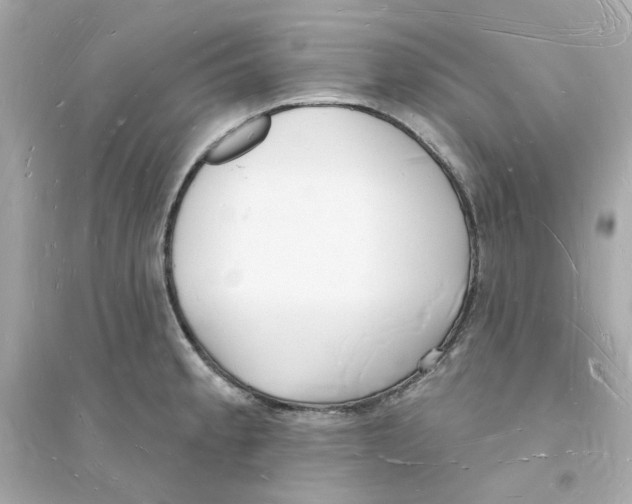 X0000093721189200711131006