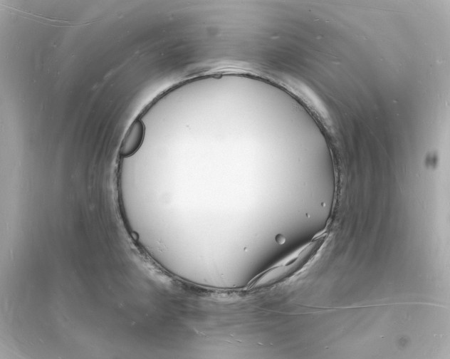 X0000093721190200711131006