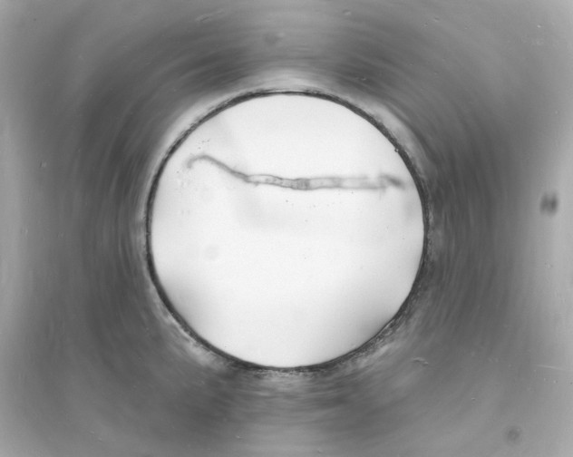 X0000093721191200711131006