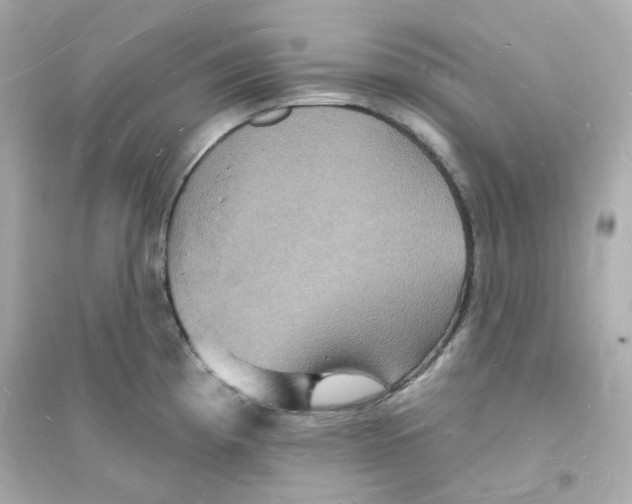 X0000093721193200711131006