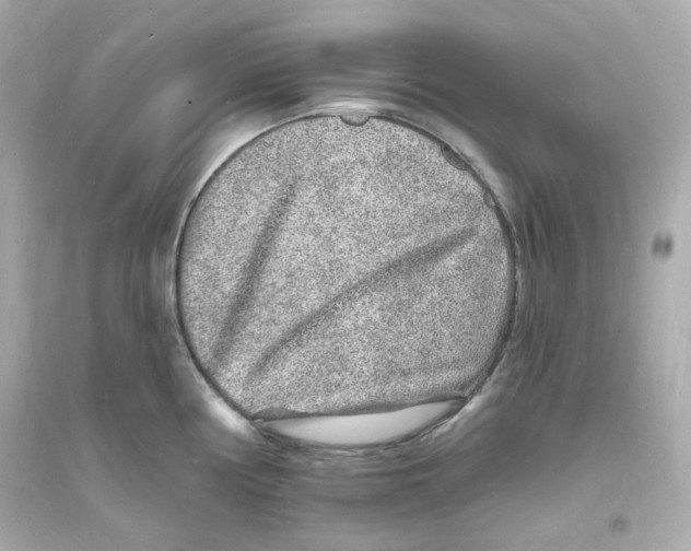 X0000093721194200711131006