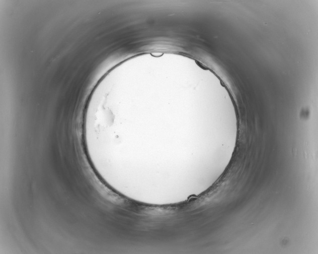 X0000093721195200711131006