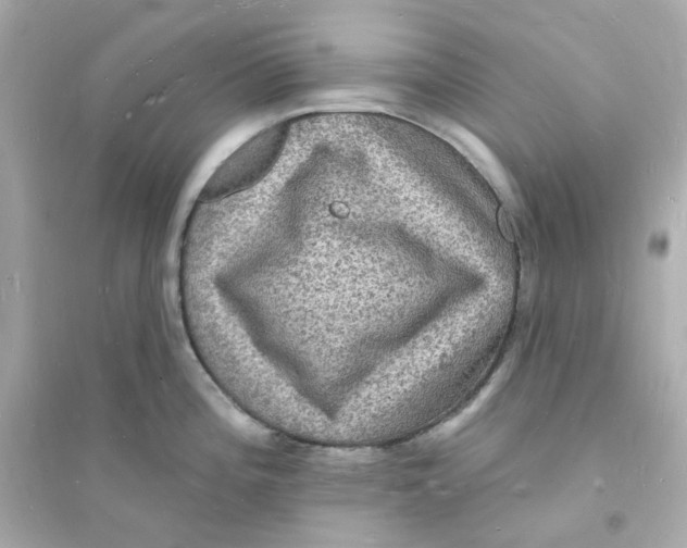 X0000093721196200711131006