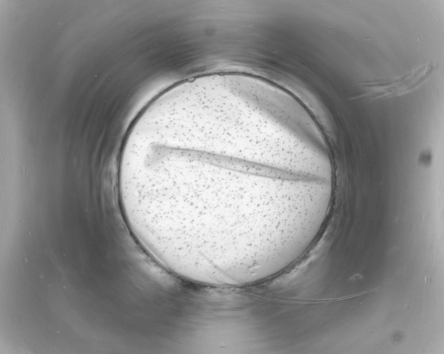 X0000093721198200711131006