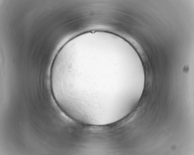 X0000093721199200711131006