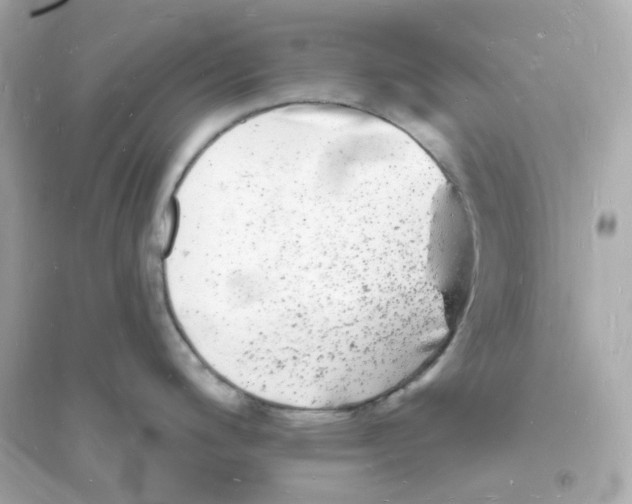 X0000093721200200711131006