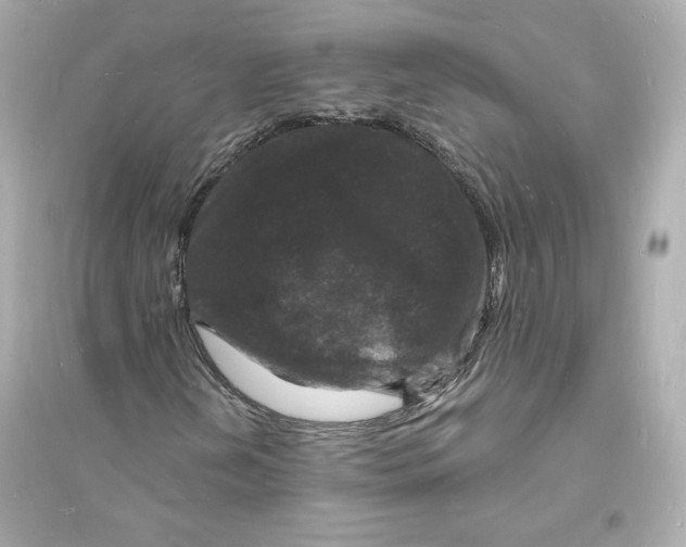 X0000093721202200711131005