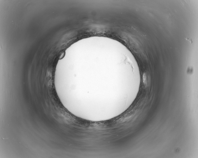 X0000093721203200711131005