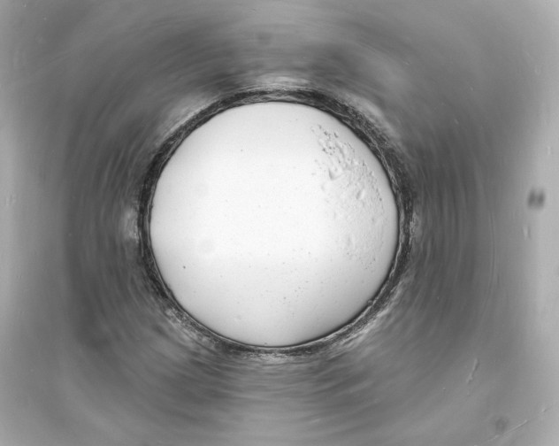 X0000093721209200711131005