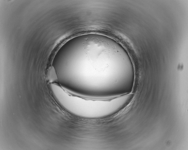 X0000093721210200711131005