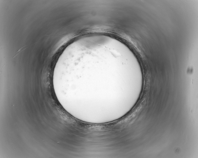 X0000093721211200711131005