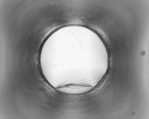 X0000093721212200711131005