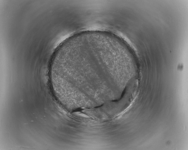 X0000093721213200711131005