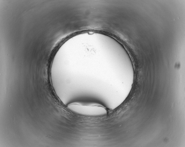 X0000093721214200711131005