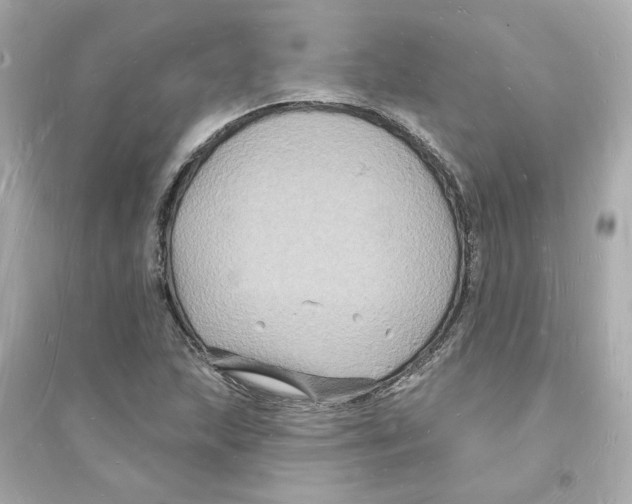 X0000093721215200711131005