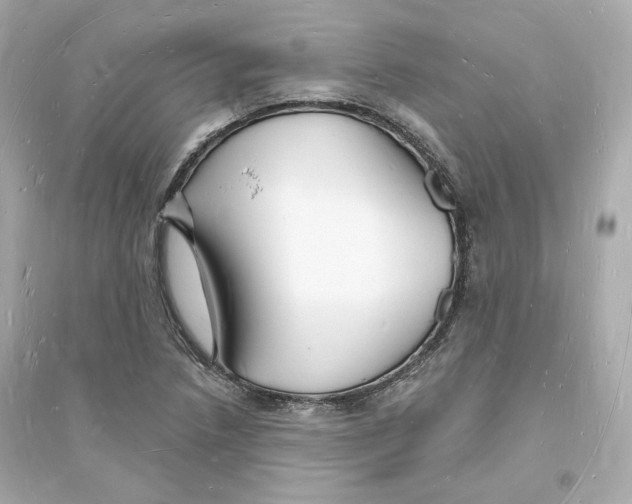 X0000093721218200711131005