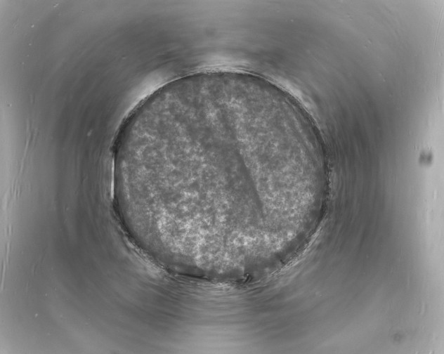 X0000093721219200711131005